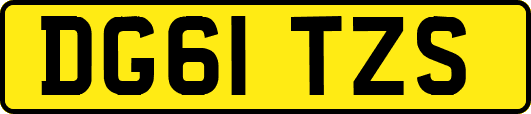 DG61TZS