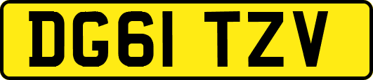 DG61TZV