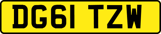 DG61TZW