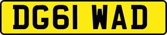 DG61WAD