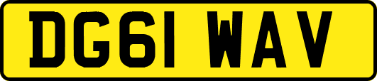 DG61WAV