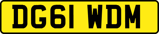DG61WDM