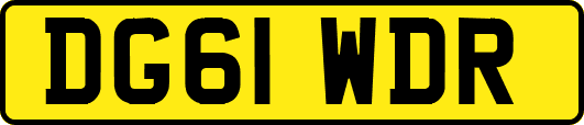 DG61WDR