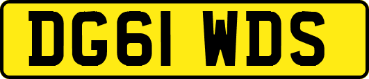 DG61WDS