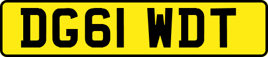 DG61WDT