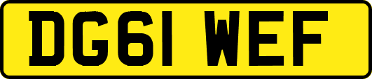 DG61WEF