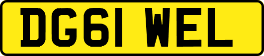 DG61WEL