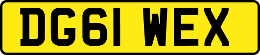 DG61WEX