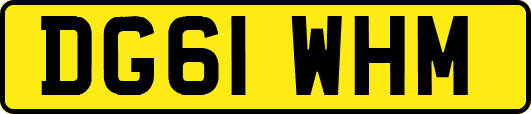 DG61WHM