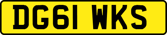 DG61WKS