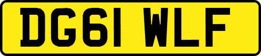 DG61WLF
