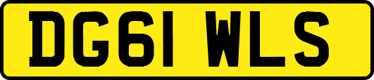 DG61WLS