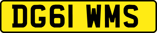DG61WMS