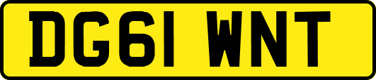 DG61WNT