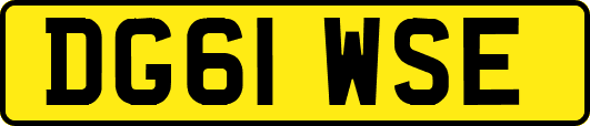 DG61WSE
