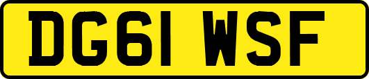 DG61WSF