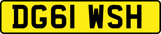 DG61WSH