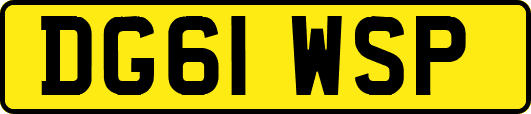 DG61WSP