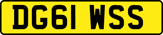 DG61WSS