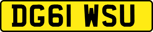 DG61WSU