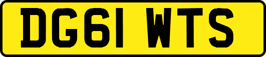 DG61WTS