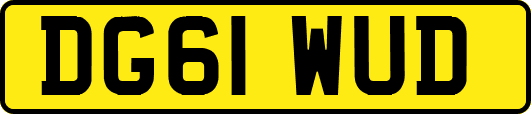 DG61WUD