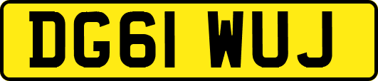 DG61WUJ