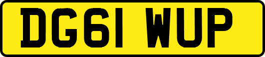 DG61WUP