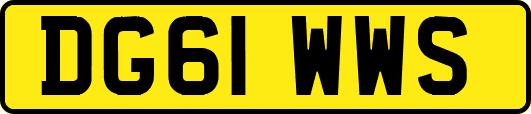 DG61WWS