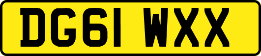 DG61WXX