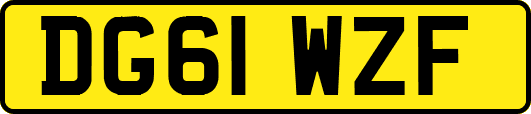 DG61WZF