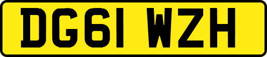 DG61WZH