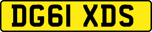 DG61XDS