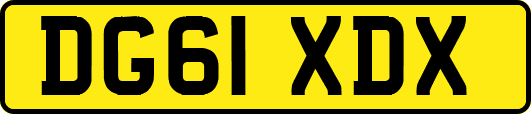 DG61XDX