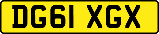 DG61XGX