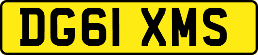 DG61XMS