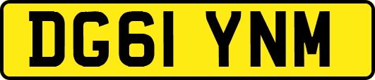 DG61YNM