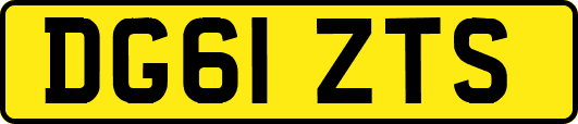 DG61ZTS