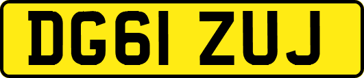 DG61ZUJ