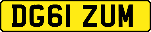 DG61ZUM