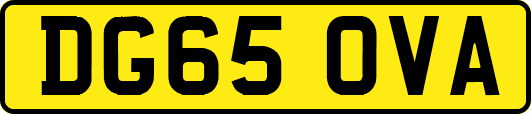 DG65OVA