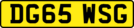 DG65WSG