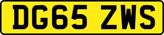 DG65ZWS