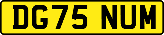 DG75NUM