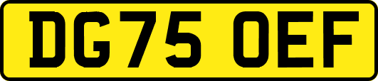 DG75OEF