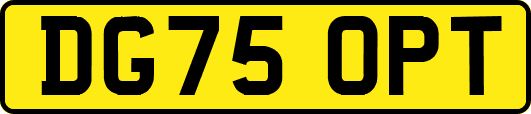 DG75OPT