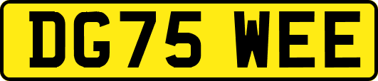 DG75WEE