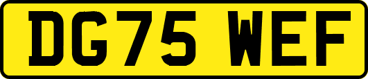 DG75WEF