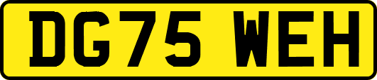 DG75WEH