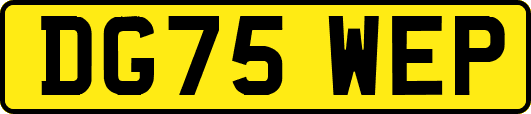 DG75WEP
